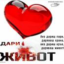 Кампания на БЧК за безвъзмездно кръводаряване в храм "Свети Три Светители", Шумен