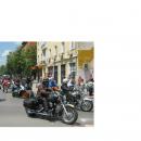 Рокери помагат на деца и осиновяват животни