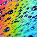 Стани доброволец на Психологически център - ДЪГА