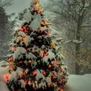 Един баща моли цяла България: Моля ви само за употребявани дрехи и обувки! 