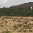 Търсят се доброволци за залесяване около Кремиковския манастир