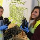 Сортирай дарени храни за хора в нужда през ноември