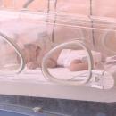 Да спасиш живота на бебе с... пластмасови капачки 