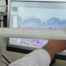 Безплатни гинекологични прегледи в столичната Втора АГ болница до края на месеца 