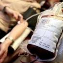 Цяла Стрелча дари кръв и спаси Панка