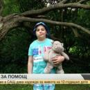 Лечение в САЩ дава надежда за живота на 12-годишно дете