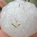 Община Левски обявява кампания за набиране на средства за отстраняване на щетите от градушката