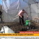 Семейство избра да затвори магазина си заради коронавируса и да се захване със земеделие