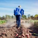 Безработните ще запазят социалните си помощи, ако се включат в сезонна селскостопанска работа