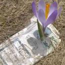 Риболовен клуб и кметство с. Никюп кани доброволци за масово почистване