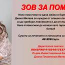 Млада майка има нужда от подкрепа, за да живее